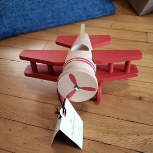 Hearth and hand biplane